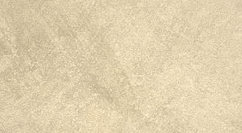 Champagne Cream limewash finish sample
