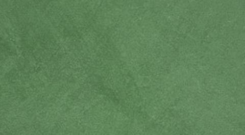 Divine Fern limewash finish sample