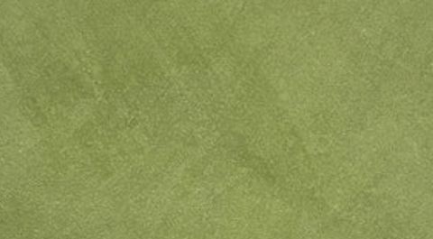 Lime Moss limewash finish sample