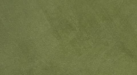 Olive Overturn limewash finish sample