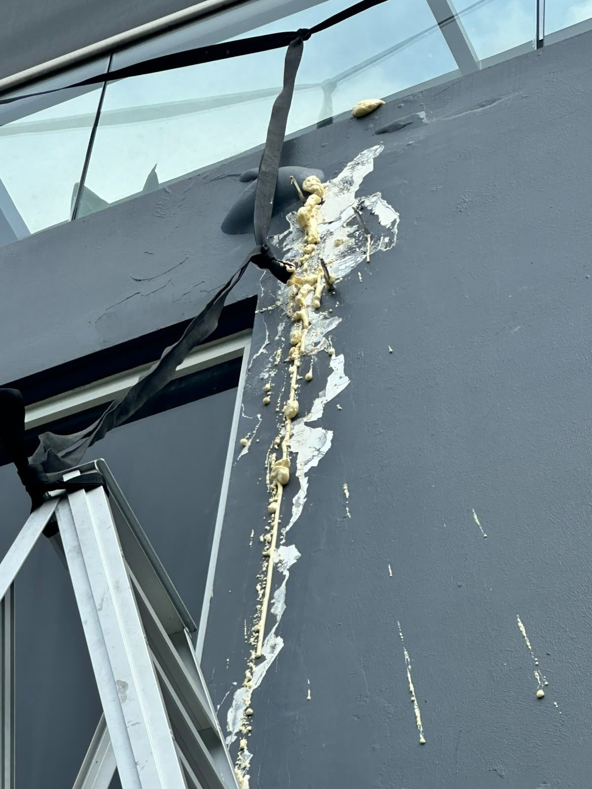 Peeling exterior paint and sealant damage before repaint, landed property Singapore