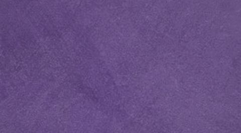 Royal Majesty limewash finish sample