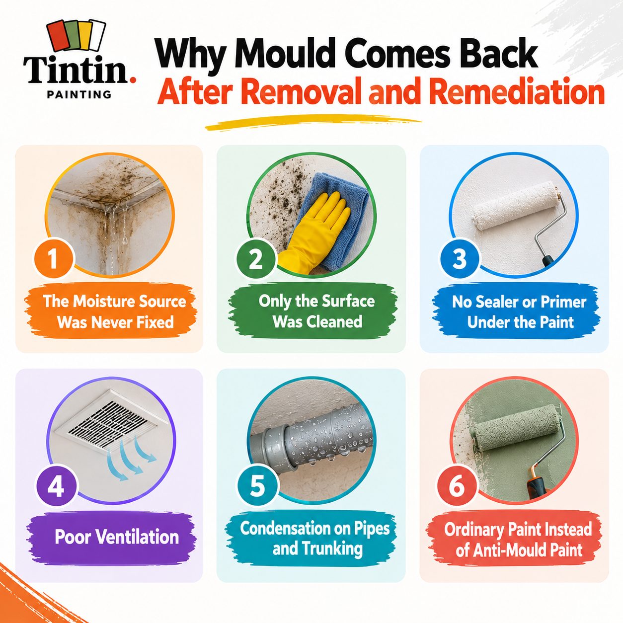 Six reasons mould comes back after removal: moisture, surface-only cleaning, no sealer, poor ventilation, condensation and ordinary paint
